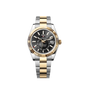 Seikodweller TwoTone-Black